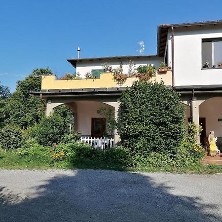 Villa Le Camelie Polverara Exterior foto