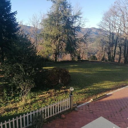 Villa Le Camelie Polverara Exterior foto