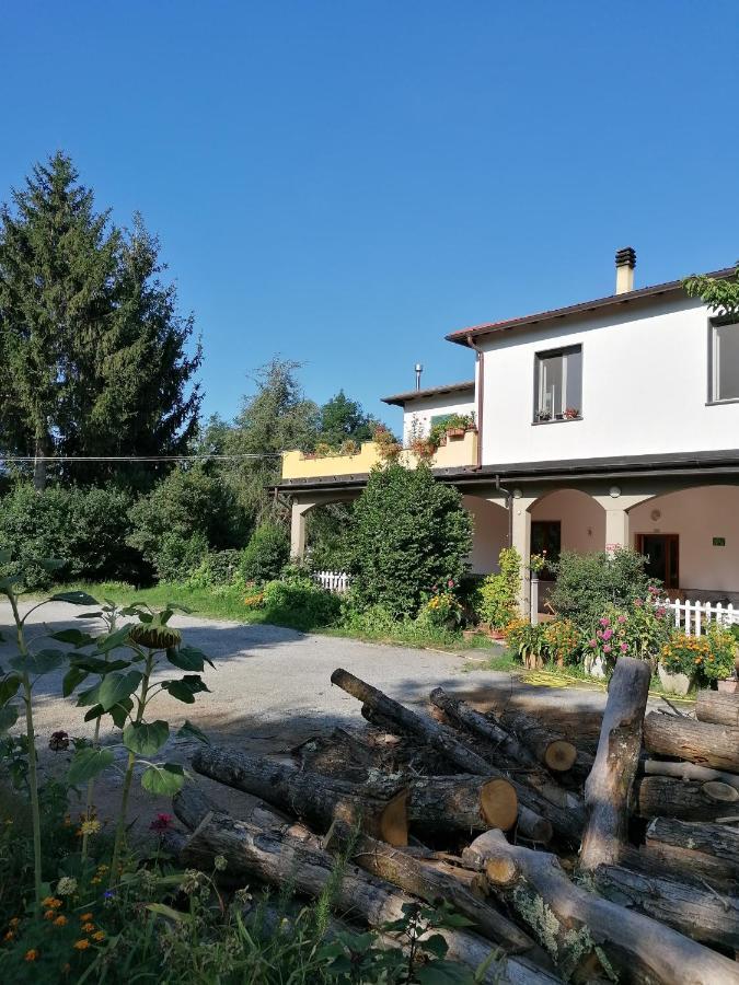 Villa Le Camelie Polverara Exterior foto