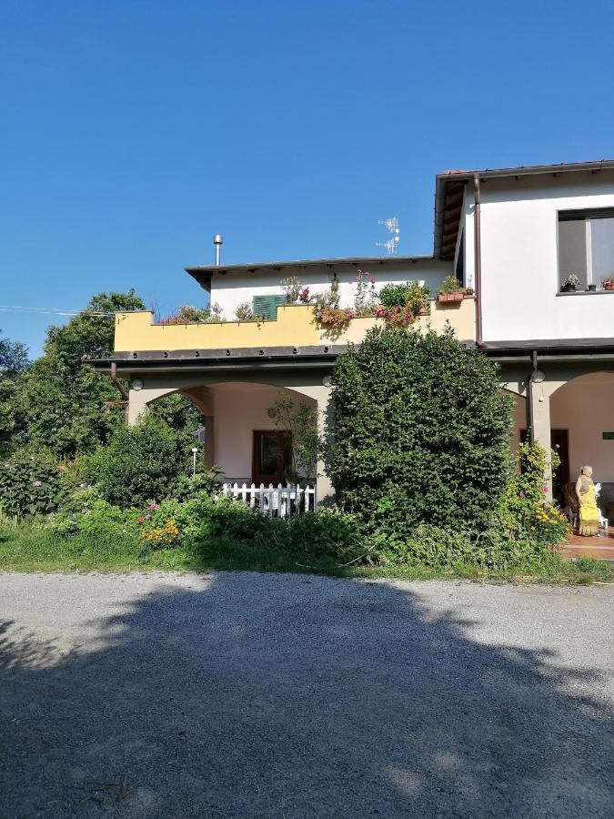 Villa Le Camelie Polverara Exterior foto