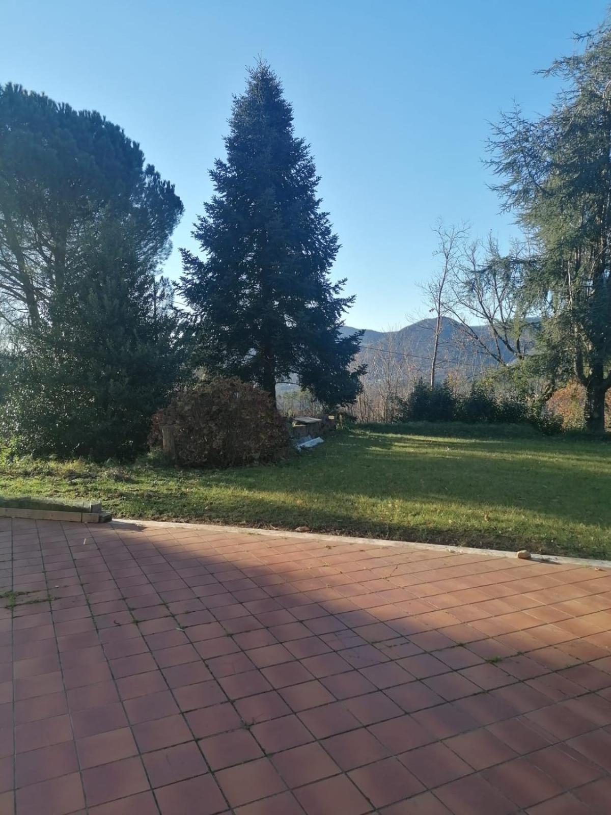 Villa Le Camelie Polverara Exterior foto